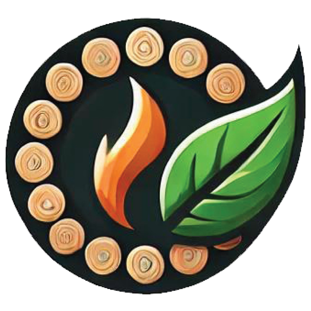 EcoFlare logo